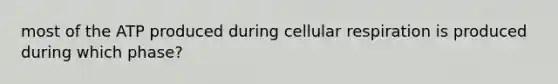 most of the ATP produced during cellular respiration is produced during which phase?