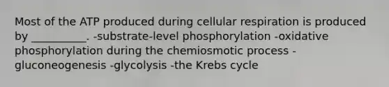 Most of the ATP produced during cellular respiration is produced by __________. -substrate-level phosphorylation -oxidative phosphorylation during the chemiosmotic process -gluconeogenesis -glycolysis -the Krebs cycle