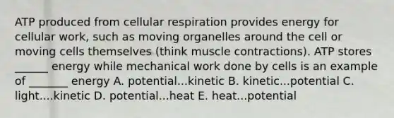 ATP produced from cellular respiration provides energy for cellular work, such as moving organelles around the cell or moving cells themselves (think muscle contractions). ATP stores ______ energy while mechanical work done by cells is an example of _______ energy A. potential...kinetic B. kinetic...potential C. light....kinetic D. potential...heat E. heat...potential