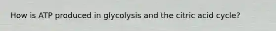 How is ATP produced in glycolysis and the citric acid cycle?