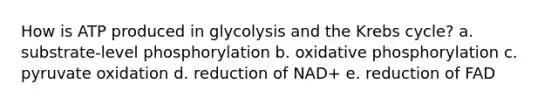 How is ATP produced in glycolysis and the <a href='https://www.questionai.com/knowledge/kqfW58SNl2-krebs-cycle' class='anchor-knowledge'>krebs cycle</a>? a. substrate-level phosphorylation b. <a href='https://www.questionai.com/knowledge/kFazUb9IwO-oxidative-phosphorylation' class='anchor-knowledge'>oxidative phosphorylation</a> c. pyruvate oxidation d. reduction of NAD+ e. reduction of FAD