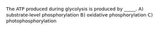 The ATP produced during glycolysis is produced by _____. A) substrate-level phosphorylation B) <a href='https://www.questionai.com/knowledge/kFazUb9IwO-oxidative-phosphorylation' class='anchor-knowledge'>oxidative phosphorylation</a> C) photophosphorylation