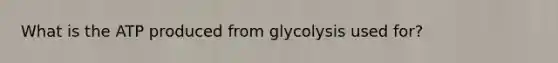 What is the ATP produced from glycolysis used for?