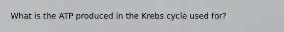 What is the ATP produced in the Krebs cycle used for?