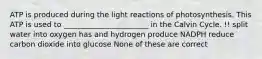 ATP is produced during the light reactions of photosynthesis. This ATP is used to _______________________ in the Calvin Cycle. !! split water into oxygen has and hydrogen produce NADPH reduce carbon dioxide into glucose None of these are correct