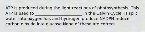 ATP is produced during the <a href='https://www.questionai.com/knowledge/kSUoWrrvoC-light-reactions' class='anchor-knowledge'>light reactions</a> of photosynthesis. This ATP is used to _______________________ in the Calvin Cycle. !! split water into oxygen has and hydrogen produce NADPH reduce carbon dioxide into glucose None of these are correct