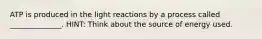 ATP is produced in the light reactions by a process called ______________. HINT: Think about the source of energy used.