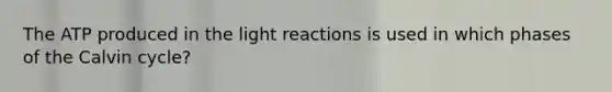 The ATP produced in the light reactions is used in which phases of the Calvin cycle?