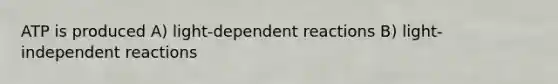 ATP is produced A) light-dependent reactions B) light-independent reactions