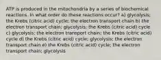 ATP is produced in the mitochondria by a series of biochemical reactions. In what order do these reactions occur? a) glycolysis; the Krebs (citric acid) cycle; the electron transport chain b) the electron transport chain; glycolysis; the Krebs (citric acid) cycle c) glycolysis; the electron transport chain; the Krebs (citric acid) cycle d) the Krebs (citric acid) cycle; glycolysis; the electron transport chain e) the Krebs (citric acid) cycle; the electron transport chain; glycolysis