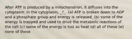 After ATP is produced by a mitochondrion, it diffuses into the cytoplasm. In the cytoplasm, _?_. (a) ATP is broken down to ADP and a phosphate group and energy is released. (b) some of the energy is trapped and used to drive the metabolic reactions of the cell (c) some of the energy is lost as heat (d) all of these (e) none of these