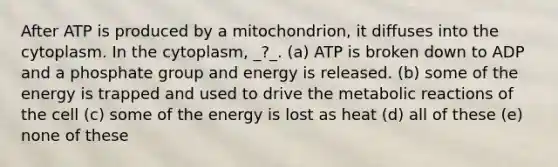 After ATP is produced by a mitochondrion, it diffuses into the cytoplasm. In the cytoplasm, _?_. (a) ATP is broken down to ADP and a phosphate group and energy is released. (b) some of the energy is trapped and used to drive the metabolic reactions of the cell (c) some of the energy is lost as heat (d) all of these (e) none of these