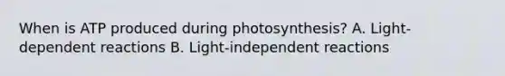 When is ATP produced during photosynthesis? A. Light-dependent reactions B. Light-independent reactions