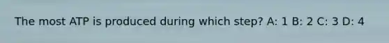 The most ATP is produced during which step? A: 1 B: 2 C: 3 D: 4