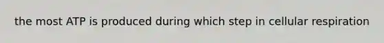 the most ATP is produced during which step in cellular respiration