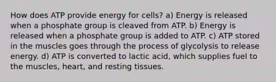 How does ATP provide energy for cells? a) Energy is released when a phosphate group is cleaved from ATP. b) Energy is released when a phosphate group is added to ATP. c) ATP stored in the muscles goes through the process of glycolysis to release energy. d) ATP is converted to lactic acid, which supplies fuel to the muscles, heart, and resting tissues.