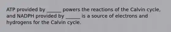 ATP provided by ______ powers the reactions of the Calvin cycle, and NADPH provided by ______ is a source of electrons and hydrogens for the Calvin cycle.