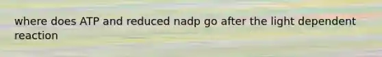 where does ATP and reduced nadp go after the light dependent reaction