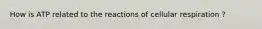 How is ATP related to the reactions of cellular respiration ?