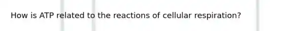 How is ATP related to the reactions of cellular respiration?