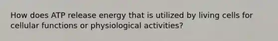 How does ATP release energy that is utilized by living cells for cellular functions or physiological activities?