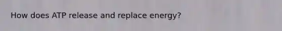 How does ATP release and replace energy?