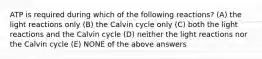 ATP is required during which of the following reactions? (A) the light reactions only (B) the Calvin cycle only (C) both the light reactions and the Calvin cycle (D) neither the light reactions nor the Calvin cycle (E) NONE of the above answers