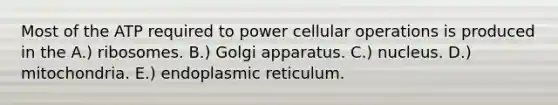 Most of the ATP required to power cellular operations is produced in the A.) ribosomes. B.) Golgi apparatus. C.) nucleus. D.) mitochondria. E.) endoplasmic reticulum.