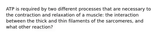 ATP is required by two different processes that are necessary to the contraction and relaxation of a muscle: the interaction between the thick and thin filaments of the sarcomeres, and what other reaction?