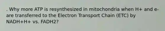 . Why more ATP is resynthesized in mitochondria when H+ and e‐ are transferred to the Electron Transport Chain (ETC) by NADH+H+ vs. FADH2?