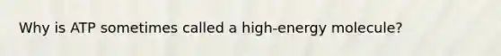 Why is ATP sometimes called a high-energy molecule?