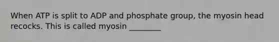 When ATP is split to ADP and phosphate group, the myosin head recocks. This is called myosin ________