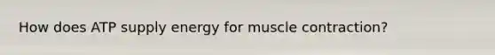 How does ATP supply energy for <a href='https://www.questionai.com/knowledge/k0LBwLeEer-muscle-contraction' class='anchor-knowledge'>muscle contraction</a>?