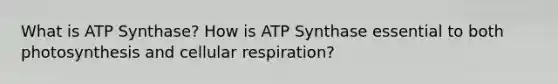 What is ATP Synthase? How is ATP Synthase essential to both photosynthesis and cellular respiration?