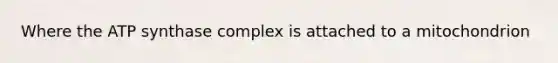 Where the ATP synthase complex is attached to a mitochondrion