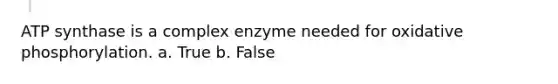 ATP synthase is a complex enzyme needed for oxidative phosphorylation. a. True b. False