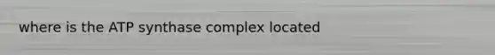 where is the ATP synthase complex located