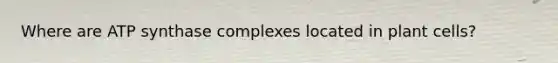 Where are ATP synthase complexes located in plant cells?