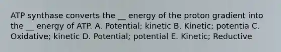 ATP synthase converts the __ energy of the proton gradient into the __ energy of ATP. A. Potential; kinetic B. Kinetic; potentia C. Oxidative; kinetic D. Potential; potential E. Kinetic; Reductive