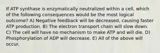 If ATP synthase is enzymatically neutralized within a cell, which of the following consequences would be the most logical outcome? A) Negative feedback will be decreased, causing faster ATP production. B) The electron transport chain will slow down. C) The cell will have no mechanism to make ATP and will die. D) Phosphorylation of ADP will decrease. E) All of the above will occur.