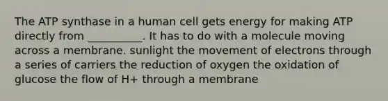 The ATP synthase in a human cell gets energy for making ATP directly from __________. It has to do with a molecule moving across a membrane. sunlight the movement of electrons through a series of carriers the reduction of oxygen the oxidation of glucose the flow of H+ through a membrane