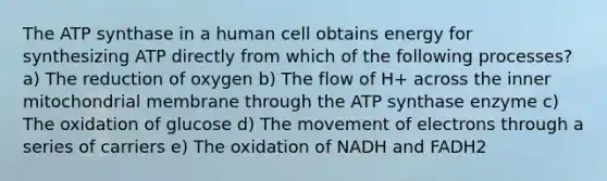 The ATP synthase in a human cell obtains energy for synthesizing ATP directly from which of the following processes? a) The reduction of oxygen b) The flow of H+ across the inner mitochondrial membrane through the ATP synthase enzyme c) The oxidation of glucose d) The movement of electrons through a series of carriers e) The oxidation of NADH and FADH2