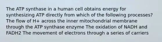 The ATP synthase in a human cell obtains energy for synthesizing ATP directly from which of the following processes? The flow of H+ across the inner mitochondrial membrane through the ATP synthase enzyme The oxidation of NADH and FADH2 The movement of electrons through a series of carriers