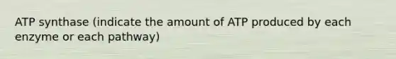 ATP synthase (indicate the amount of ATP produced by each enzyme or each pathway)