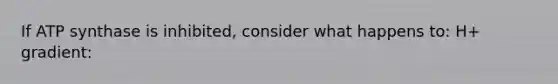 If ATP synthase is inhibited, consider what happens to: H+ gradient: