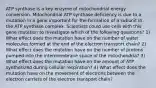 ATP synthase is a key enzyme of mitochondrial energy conversion. Mitochondrial ATP synthase deficiency is due to a mutation in a gene important for the formation of a subunit in the ATP synthase complex. Scientists could use cells with this gene mutation to investigate which of the following questions? 1) What effect does the mutation have on the number of water molecules formed at the end of the electron transport chain? 2) What effect does the mutation have on the number of protons pumped into the intermembrane space of the mitochondria? 3) What effect does the mutation have on the amount of ATP synthesized during cellular respiration? 4) What effect does the mutation have on the movement of electrons between the electron carriers of the electron transport chain?