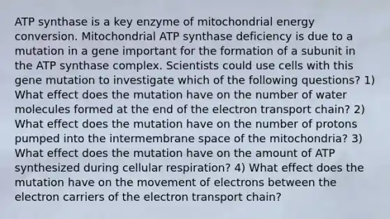 ATP synthase is a key enzyme of mitochondrial energy conversion. Mitochondrial ATP synthase deficiency is due to a mutation in a gene important for the formation of a subunit in the ATP synthase complex. Scientists could use cells with this gene mutation to investigate which of the following questions? 1) What effect does the mutation have on the number of water molecules formed at the end of the electron transport chain? 2) What effect does the mutation have on the number of protons pumped into the intermembrane space of the mitochondria? 3) What effect does the mutation have on the amount of ATP synthesized during cellular respiration? 4) What effect does the mutation have on the movement of electrons between the electron carriers of the electron transport chain?