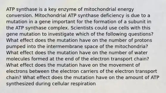 ATP synthase is a key enzyme of mitochondrial energy conversion. Mitochondrial ATP synthase deficiency is due to a mutation in a gene important for the formation of a subunit in the ATP synthase complex. Scientists could use cells with this gene mutation to investigate which of the following questions? What effect does the mutation have on the number of protons pumped into the intermembrane space of the mitochondria? What effect does the mutation have on the number of water molecules formed at the end of the electron transport chain? What effect does the mutation have on the movement of electrons between the electron carriers of the electron transport chain? What effect does the mutation have on the amount of ATP synthesized during cellular respiration