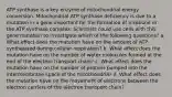 ATP synthase is a key enzyme of mitochondrial energy conversion. Mitochondrial ATP synthase deficiency is due to a mutation in a gene important for the formation of a subunit in the ATP synthase complex. Scientists could use cells with this gene mutation to investigate which of the following questions? a. What effect does the mutation have on the amount of ATP synthesized during cellular respiration? b. What effect does the mutation have on the number of water molecules formed at the end of the electron transport chain? c. What effect does the mutation have on the number of protons pumped into the intermembrane space of the mitochondria? d. What effect does the mutation have on the movement of electrons between the electron carriers of the electron transport chain?