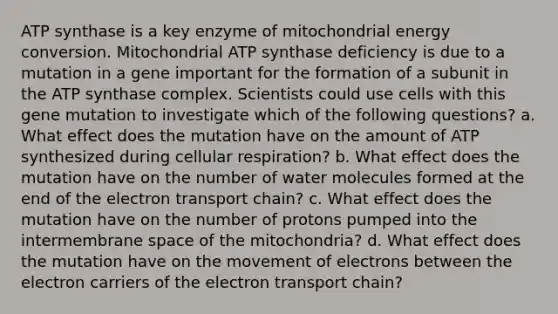 ATP synthase is a key enzyme of mitochondrial energy conversion. Mitochondrial ATP synthase deficiency is due to a mutation in a gene important for the formation of a subunit in the ATP synthase complex. Scientists could use cells with this gene mutation to investigate which of the following questions? a. What effect does the mutation have on the amount of ATP synthesized during cellular respiration? b. What effect does the mutation have on the number of water molecules formed at the end of the electron transport chain? c. What effect does the mutation have on the number of protons pumped into the intermembrane space of the mitochondria? d. What effect does the mutation have on the movement of electrons between the electron carriers of the electron transport chain?